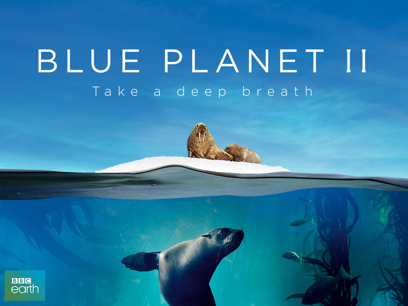 Blue Planet II - The Peabody Awards
