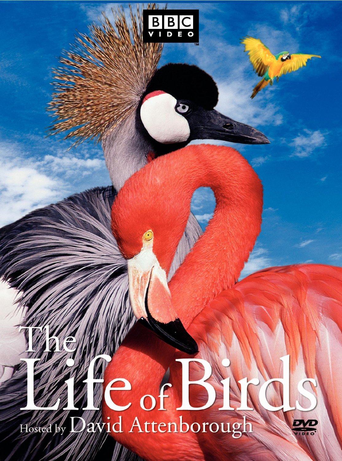 The Life Of Birds By David Attenborough The Peabody Awards